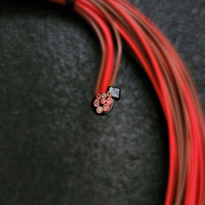 Alternative view of MaxxECU Extra Cable