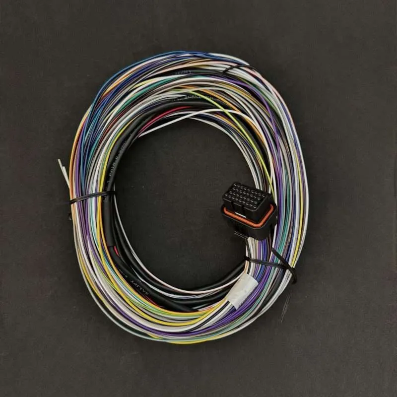 Link ECU - B Loom Medium (2LB)