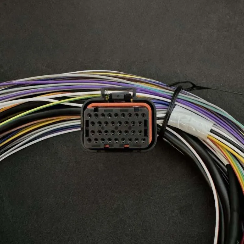 Link ECU - B Loom Medium (2LB) plug